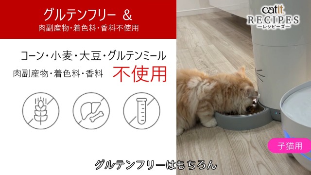 Amazon.co.jp: Catit レシピーズ 子猫用 チキン 400g 動物性タンパク